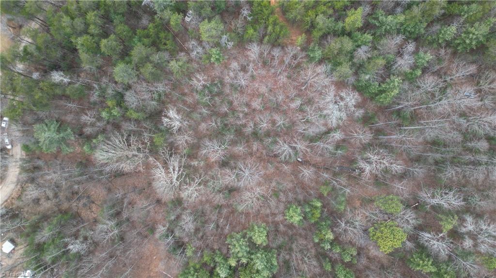 0 Browntown Road Millers Creek, NC 28651 - Photo 4 of 12