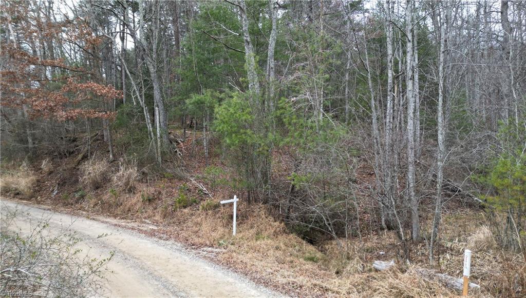 0 Browntown Road Millers Creek, NC 28651 - Photo 5 of 12