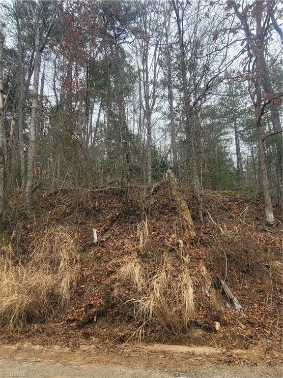 0 Browntown Road Millers Creek, NC 28651 - Photo 6 of 12