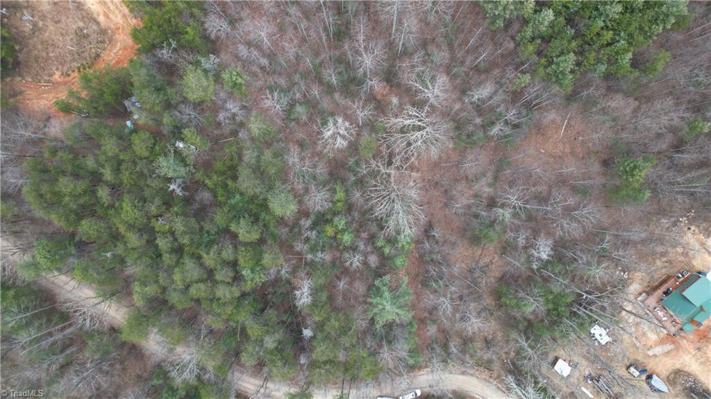 0 Browntown Road Millers Creek, NC 28651 - Photo 6 of 12