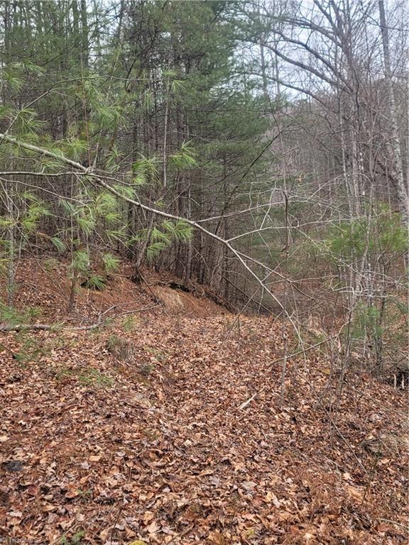 0 Browntown Road Millers Creek, NC 28651 - Photo 10 of 12