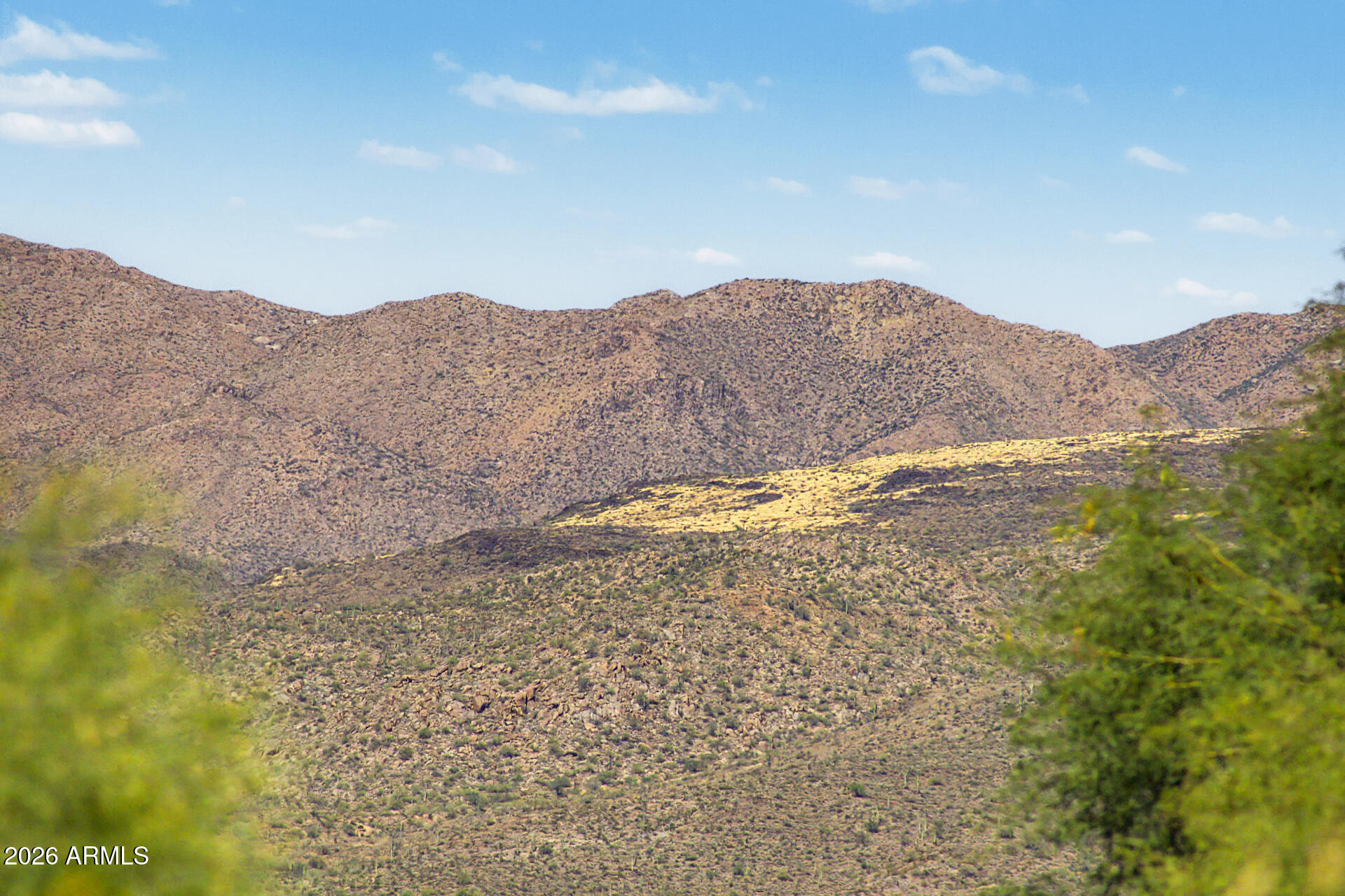 27909 North Quail Spring Road Rio Verde, AZ 85263 - Photo 40 of 52 a view of a dry yard with mountains in the background