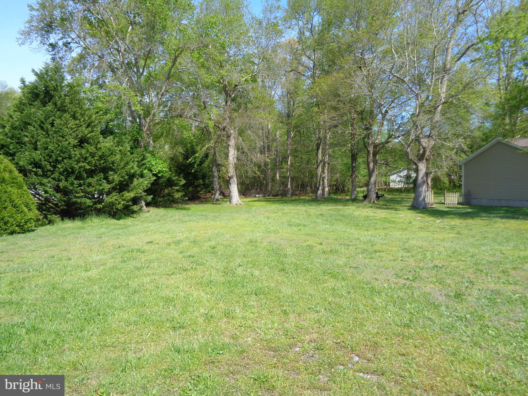 Roxana Road Frankford, DE 19945 - Photo 1 of 5 Mostly Cleared Lot