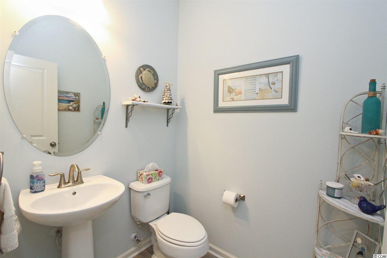 185 Splendor Circle Murrells Inlet, SC 29576 - Photo 18 of 29