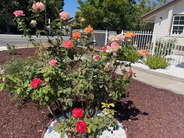 $1,188,000 | 1157 Morely Court, San Jose, CA 95122