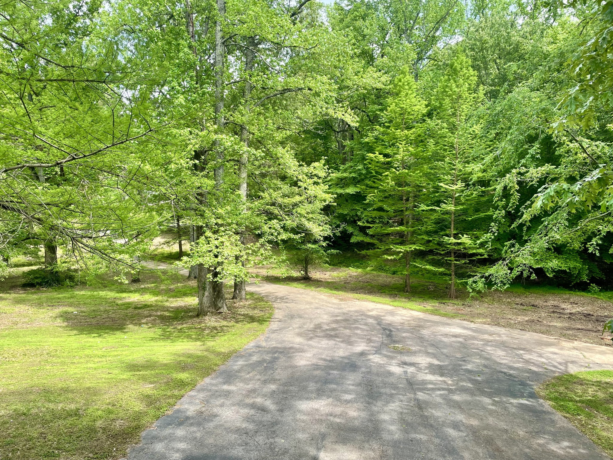 86 Lohrig Road Jackson, TN 38301 - Photo 54 of 58
