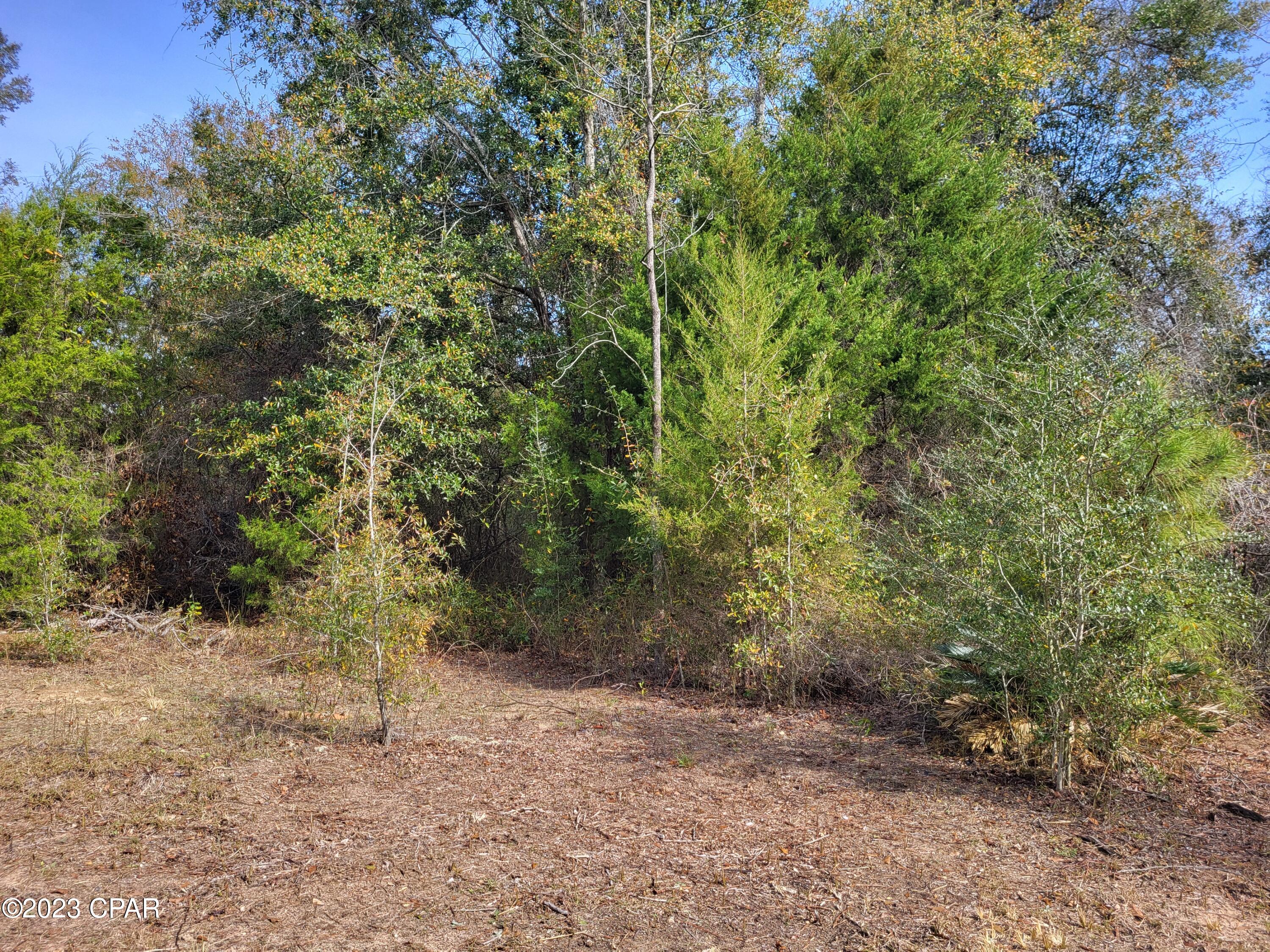 0 Northeast Morgan Tucker Road, Unit LOT 1 Altha, FL 32421 - Photo 21 of 27