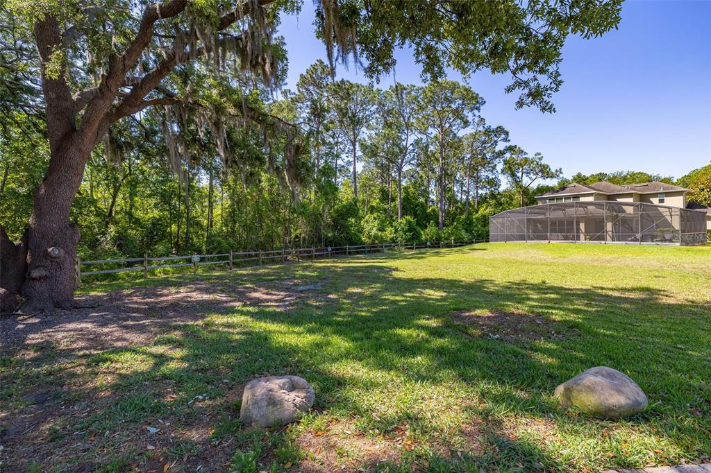 12966 Vennetta Way Windermere, FL 34786 - Photo 43 of 50