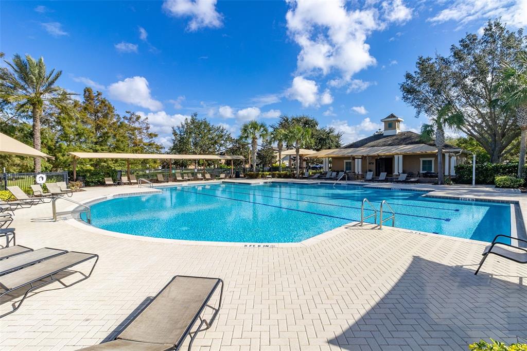 12966 Vennetta Way Windermere, FL 34786 - Photo 49 of 50