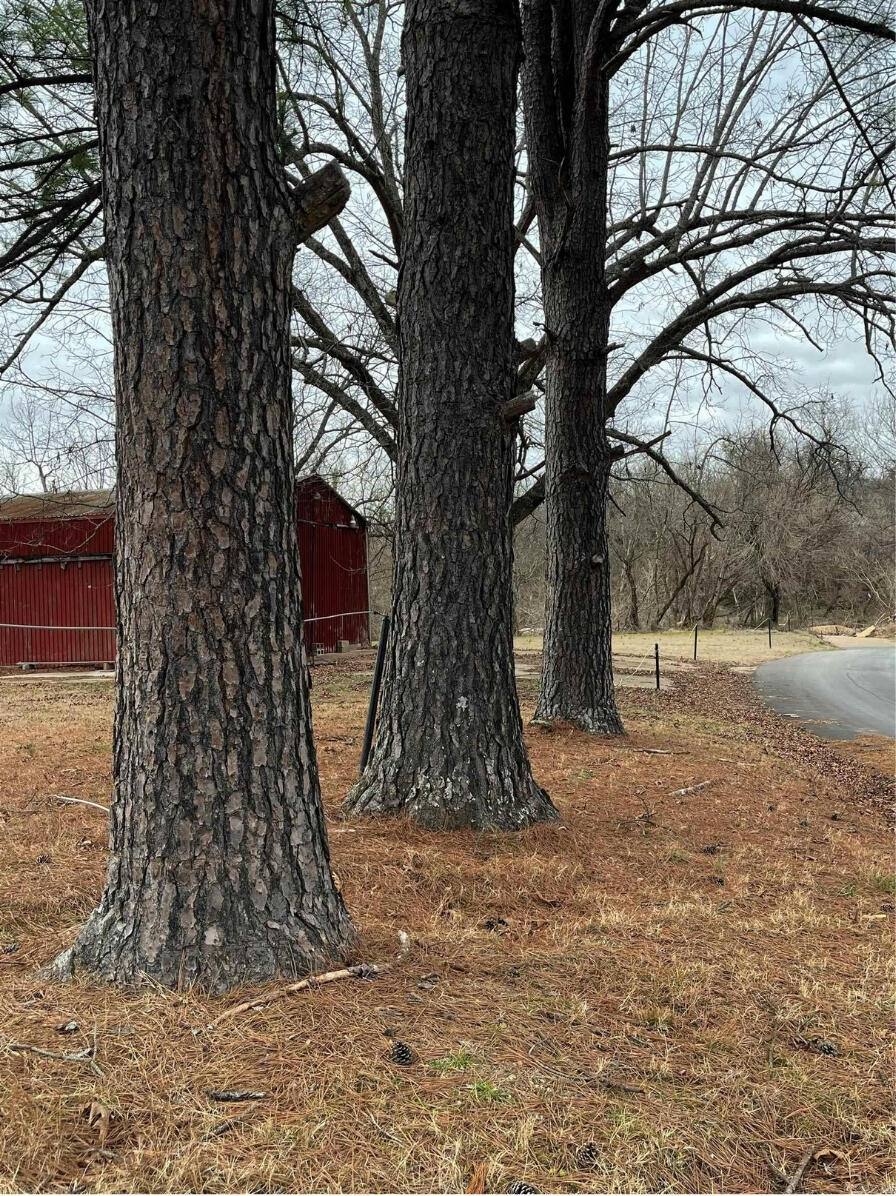 0 County Road West Thayer, MO 65791 - Photo 20 of 38 16