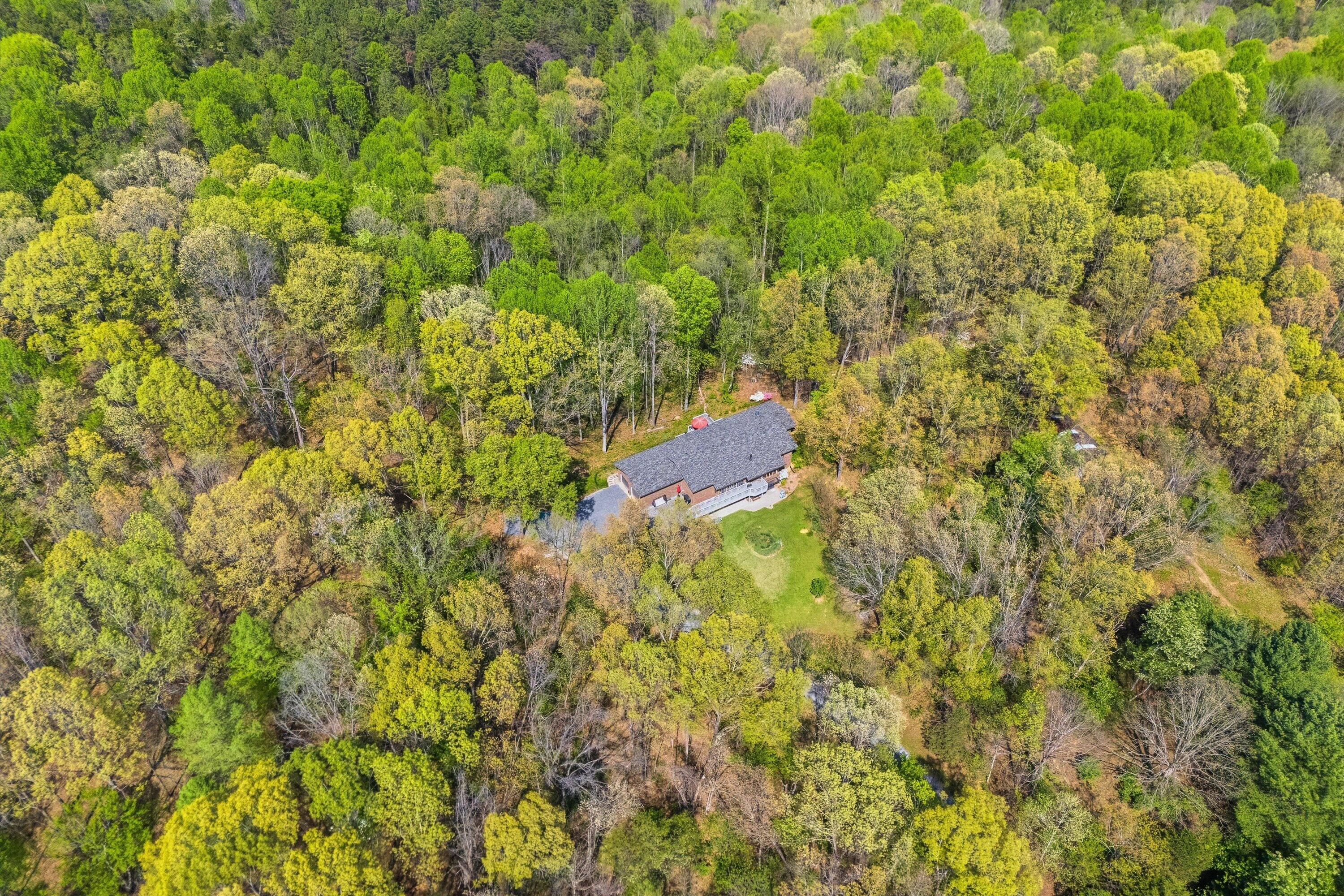 1124 Old Hollow Road Buchanan, VA 24066 - Photo 61 of 73 a view of a yard with plants and trees