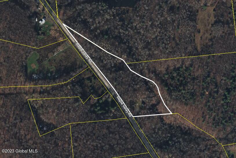 182 Maple Valley Road Worcester, NY 12197 - Photo 31 of 31 aerial map