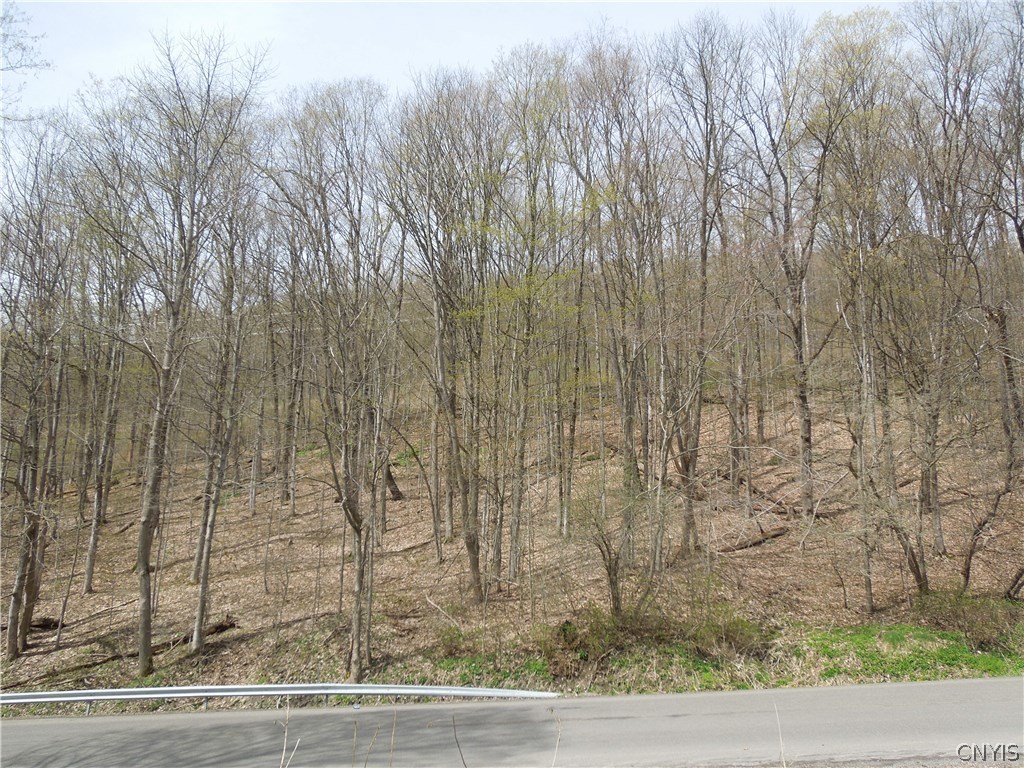 6366 Truxton Tully Road Tully, NY 13159 - Photo 17 of 19 Gallery Image 17