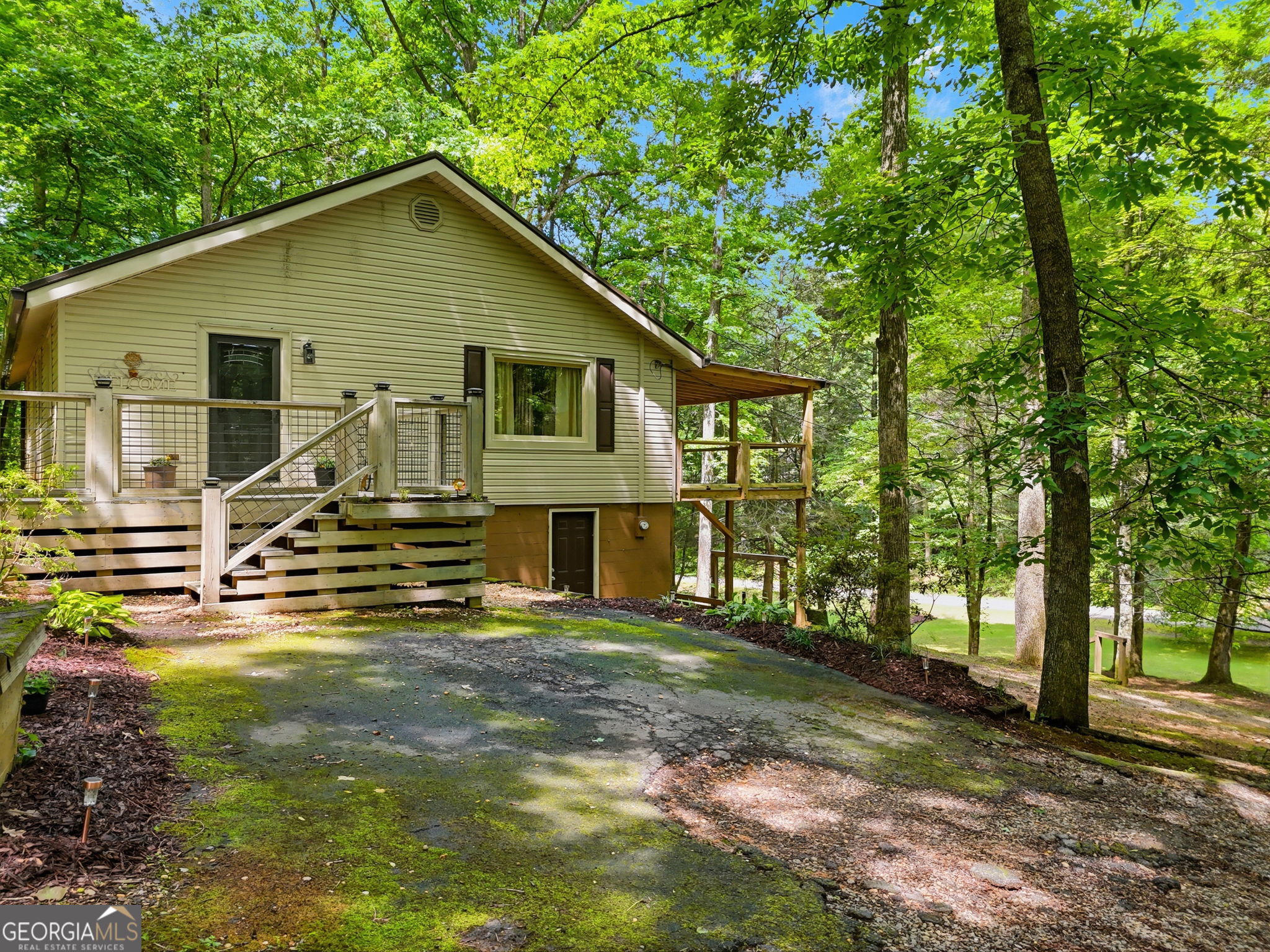 629 Goose Island Road Cherry Log, GA 30522 - Photo 51 of 52 a view of a house with backyard