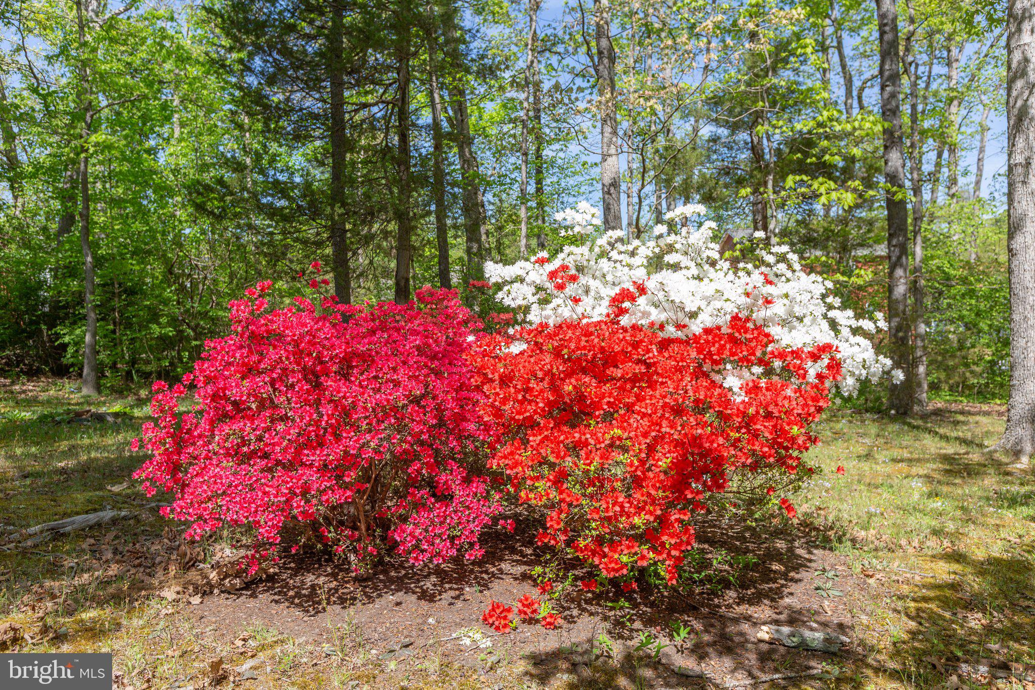 202 Freedom Road Locust Grove, VA 22508 - Photo 45 of 55 Gallery Image 45
