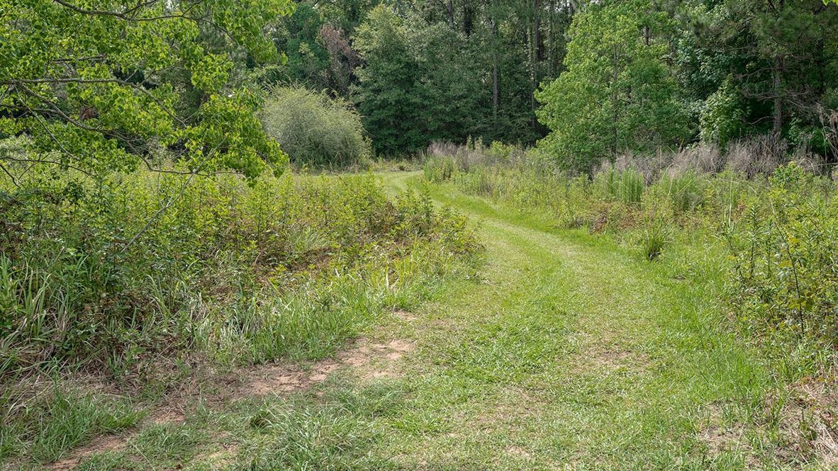21540 Burney Road Fairhope, AL 36532 - Photo 10 of 11