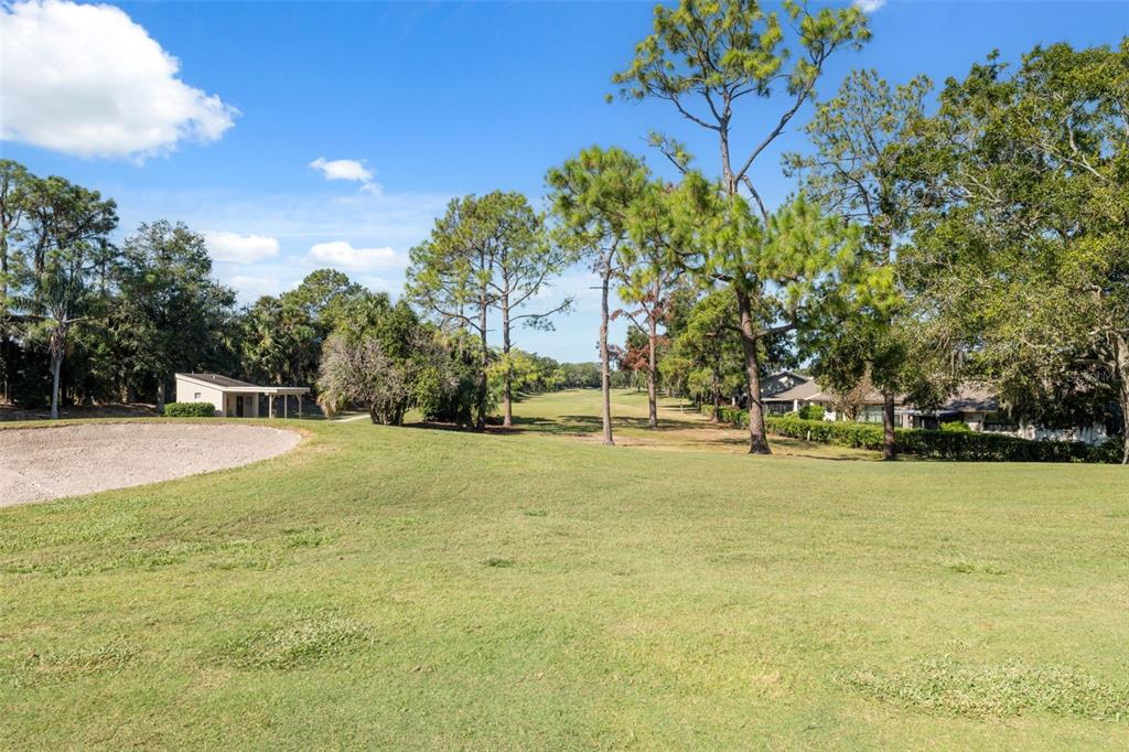 3310 Lori Lane New Port Richey, FL 34655 - Photo 29 of 39