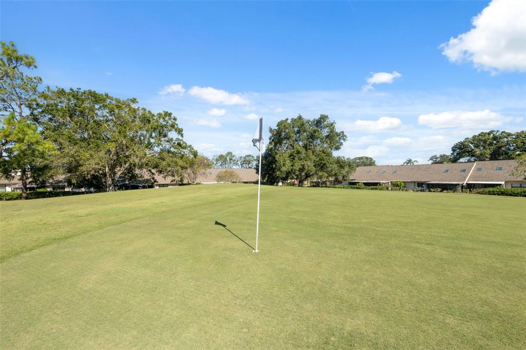 3310 Lori Lane New Port Richey, FL 34655 - Photo 30 of 39