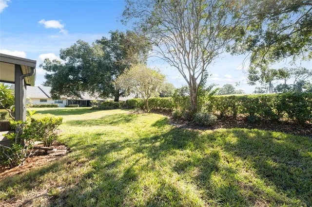 a view of a yard with large trees