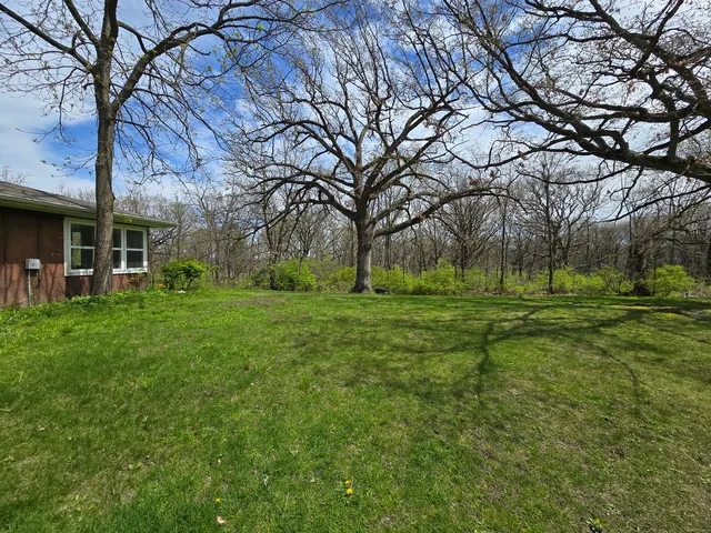 a view of a park with large trees