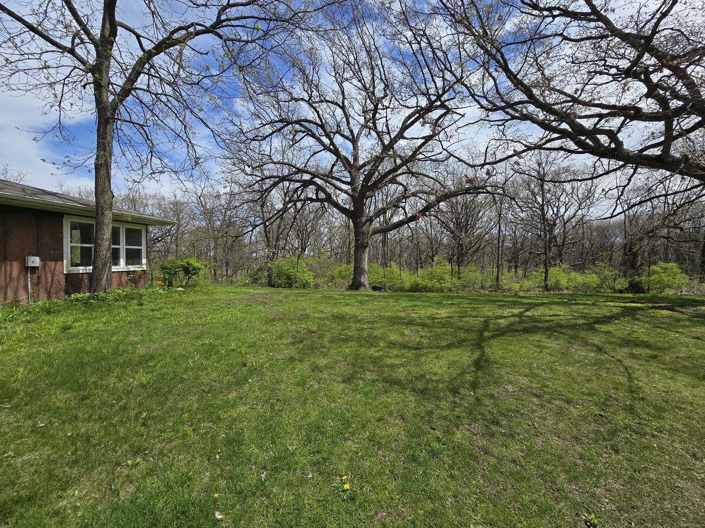 1316 South Fleming Road, Unit A Woodstock, IL 60098 - Photo 15 of 18 a view of a park with large trees
