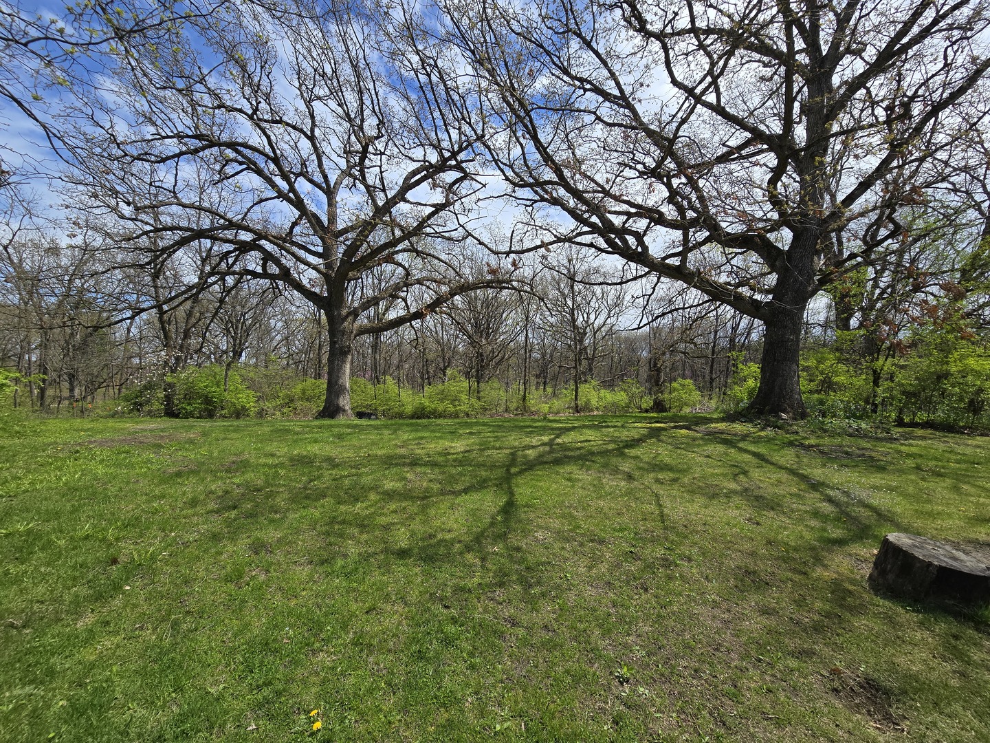 1316 South Fleming Road, Unit A Woodstock, IL 60098 - Photo 16 of 18 a view of a park with large trees