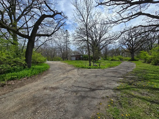 a view of a yard with plants and trees