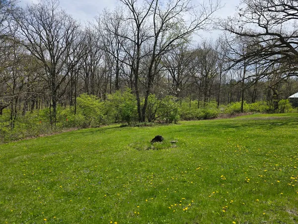 a view of field with trees in the background