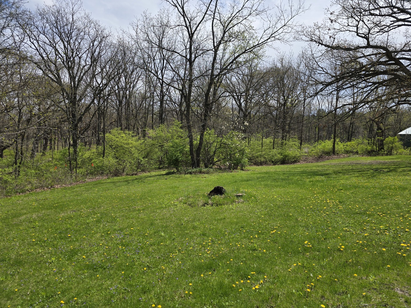 1316 South Fleming Road, Unit A Woodstock, IL 60098 - Photo 3 of 18 a view of field with trees in the background