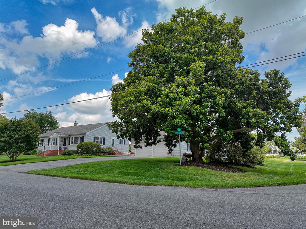 Spacious corner lot