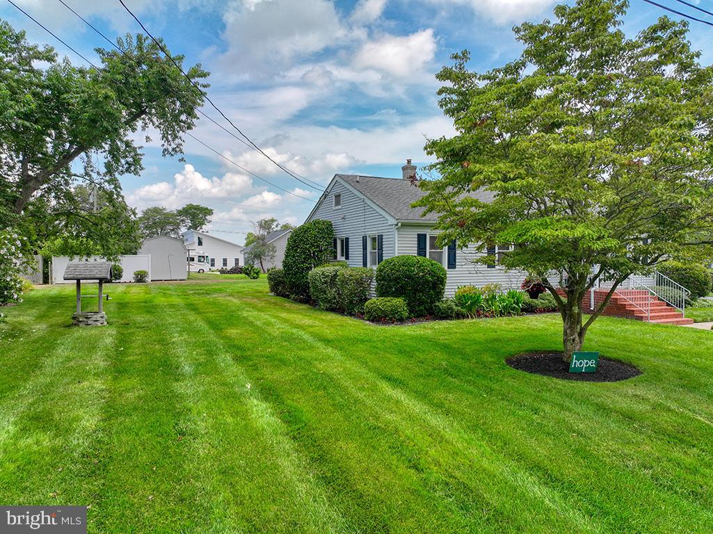 Left Side Yard