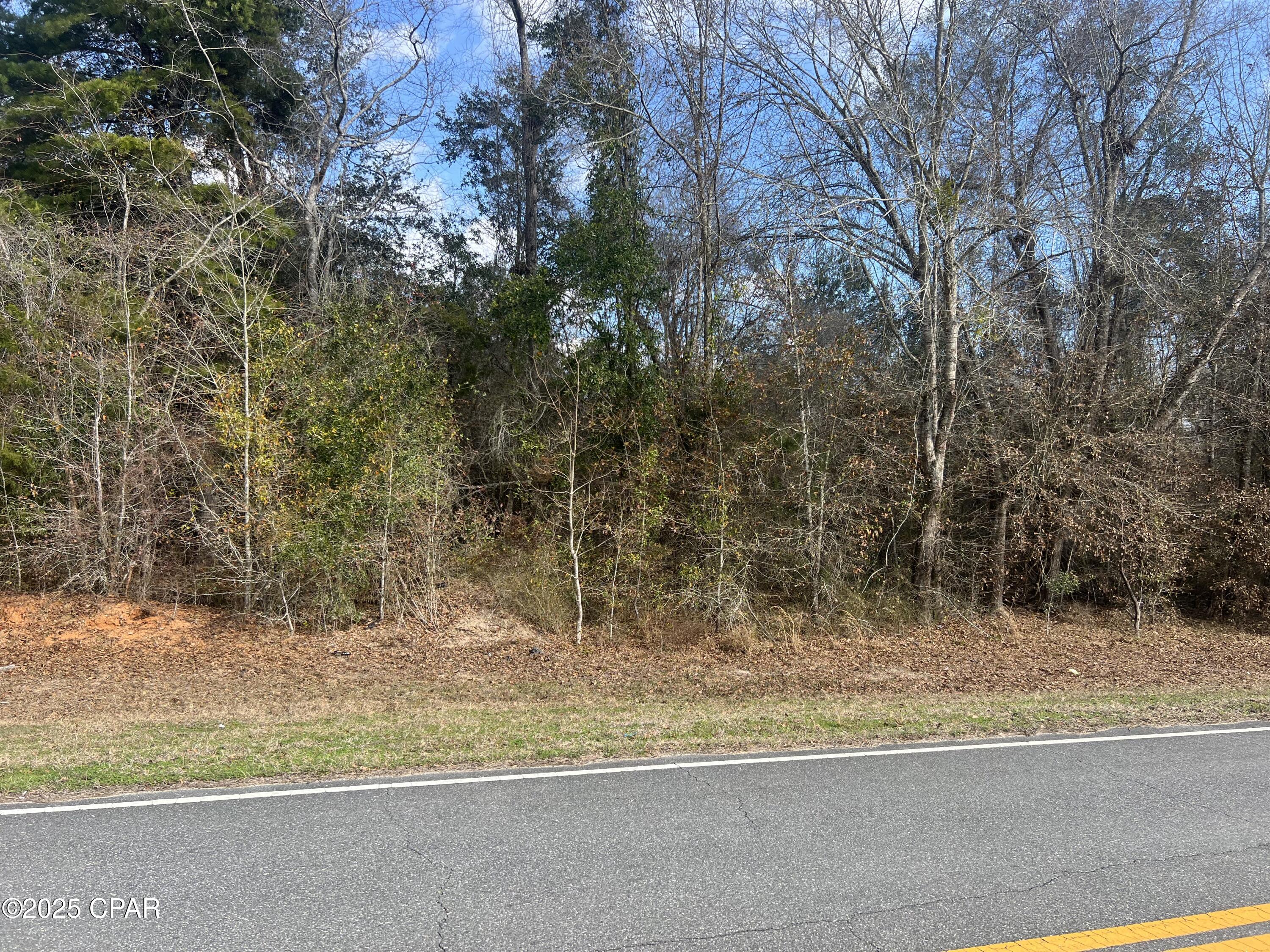 0 Salem Church Road Grand Ridge, FL 32442 - Photo 1 of 3 Gallery Image 1