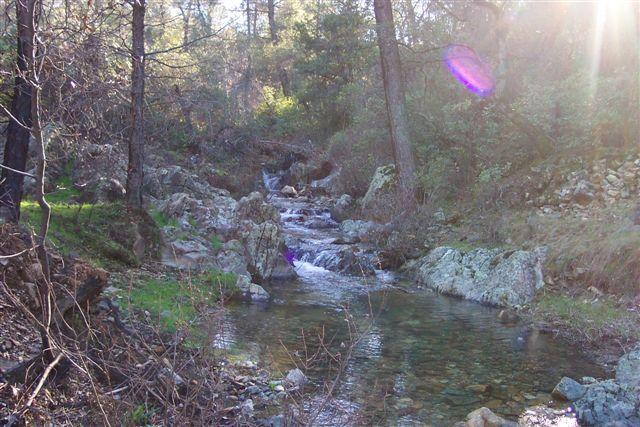 Rock Creek Road Shasta, CA 96087 - Photo 1 of 2 Creek View