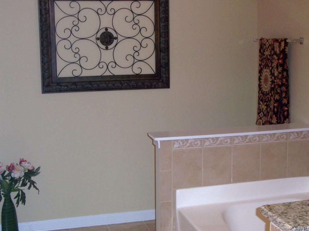 411 Windsor Gate Drive, Unit 11 Fort Mill, SC 29708 - Photo 14 of 20