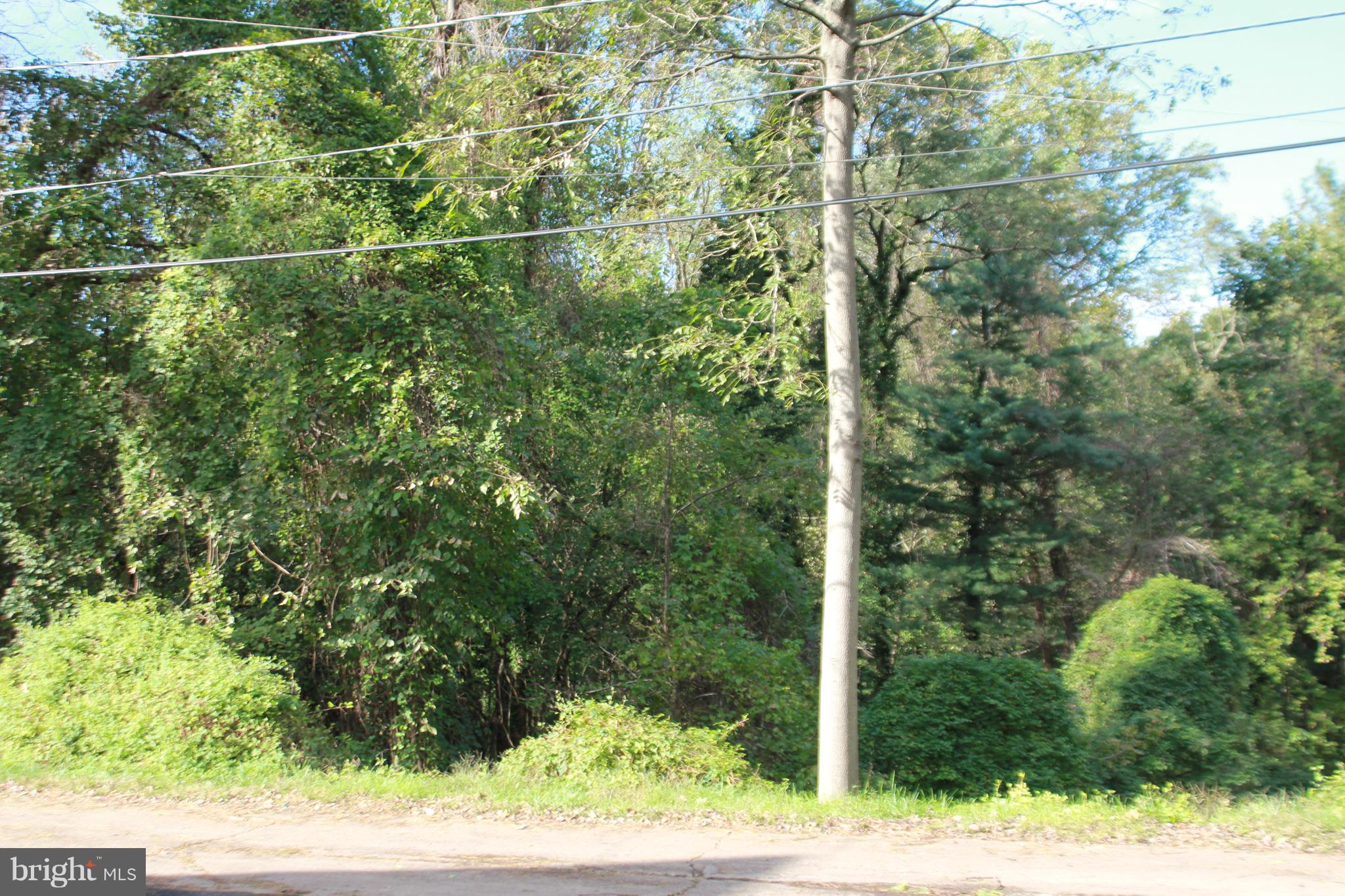 4630 Rokeby Road Baltimore, MD 21229 - Photo 46 of 48 Property Backs to Trees