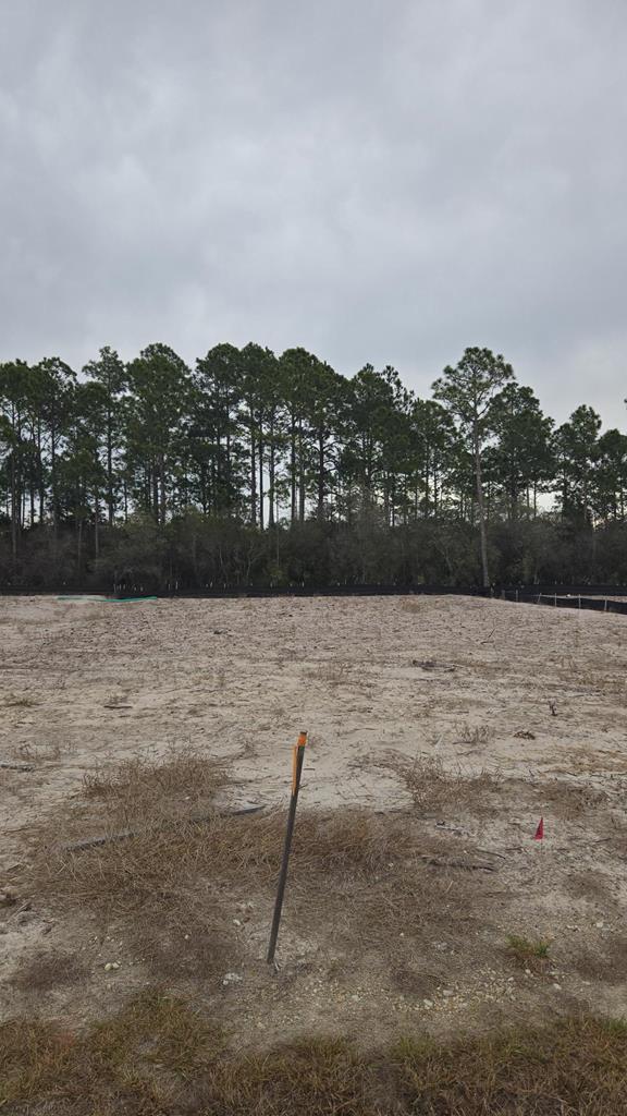 1081 Backwater Road Port St. Joe, FL 32456 - Photo 2 of 60