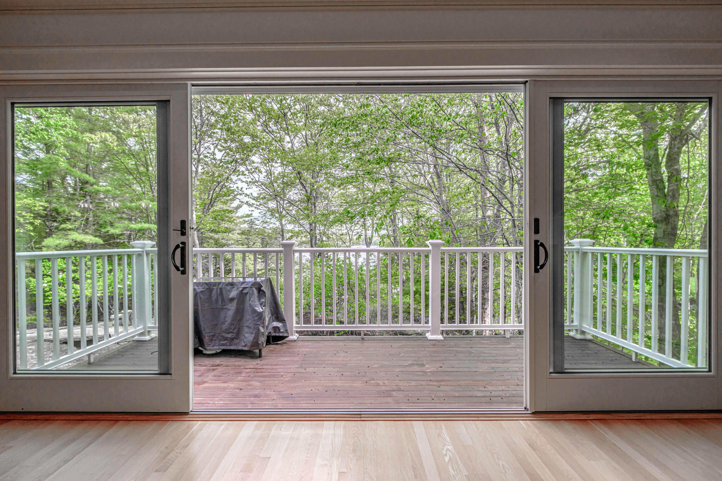 31 Painted Point Road Phippsburg, ME 04562 - Photo 15 of 48 20260527gp-60074