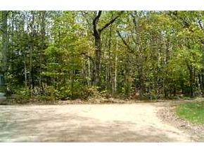 0 Beauty Hill Road Barnstead, NH 03218 - Photo 1 of 1