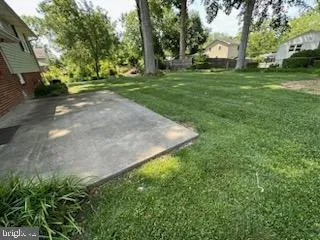a view of a park with large trees