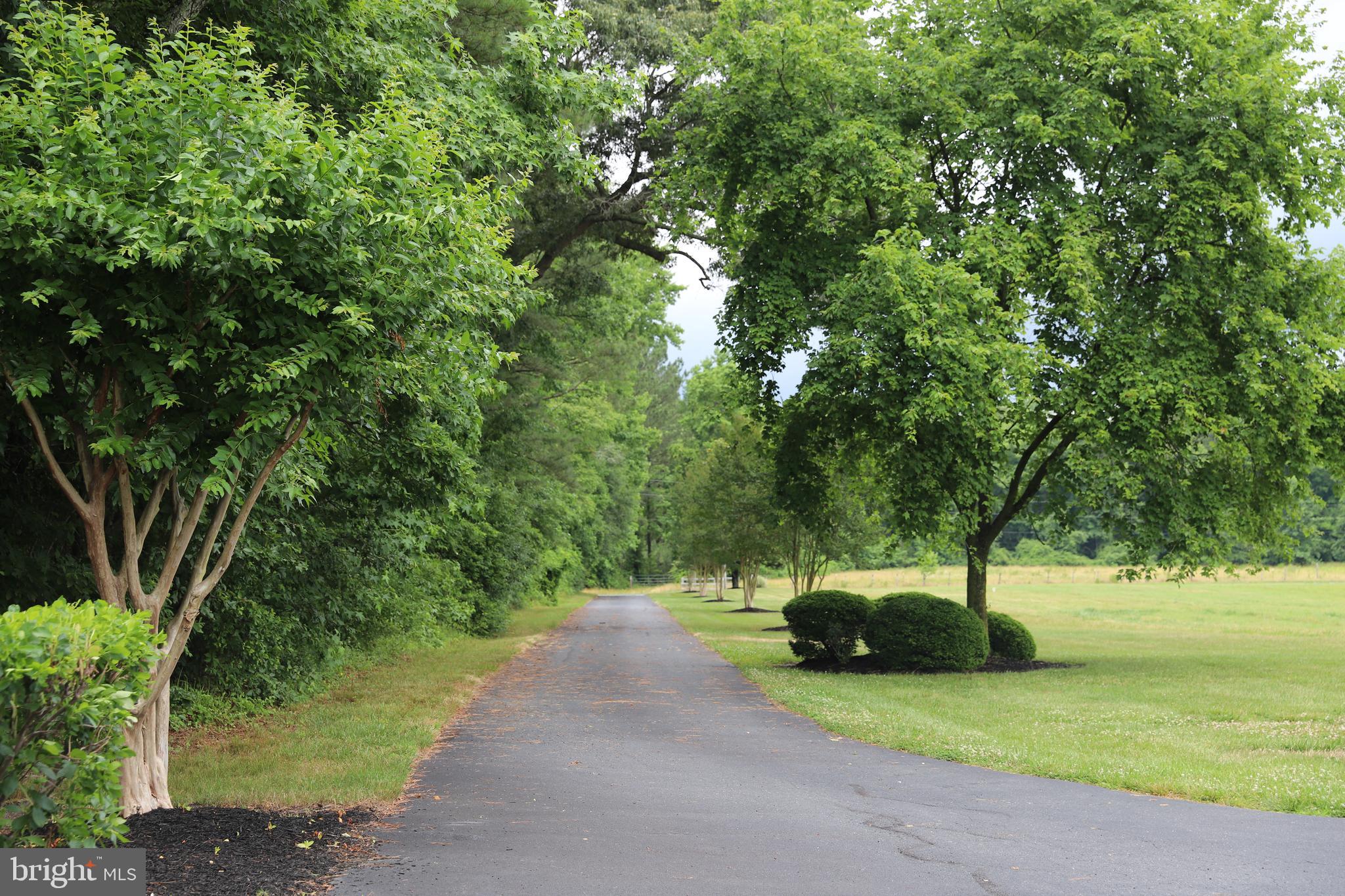 6445-60 Sixty Foot Road Pittsville, MD 21850 - Photo 13 of 43