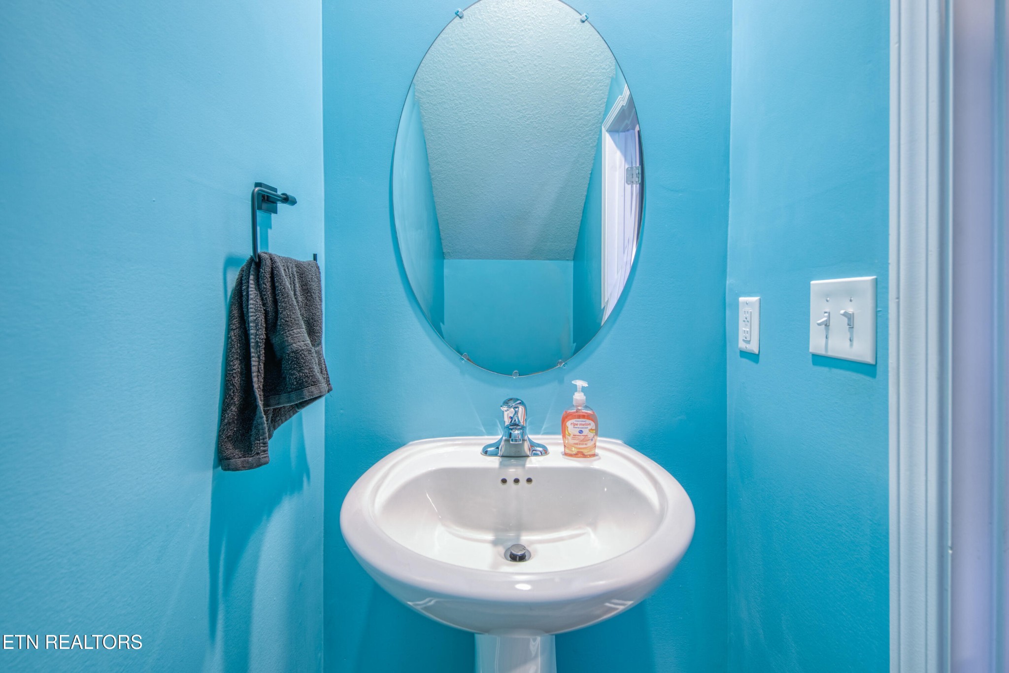 159 Ibis Loop Oak Ridge, TN 37830 - Photo 3 of 20