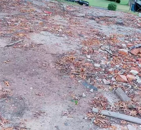 a view of a yard with a tree