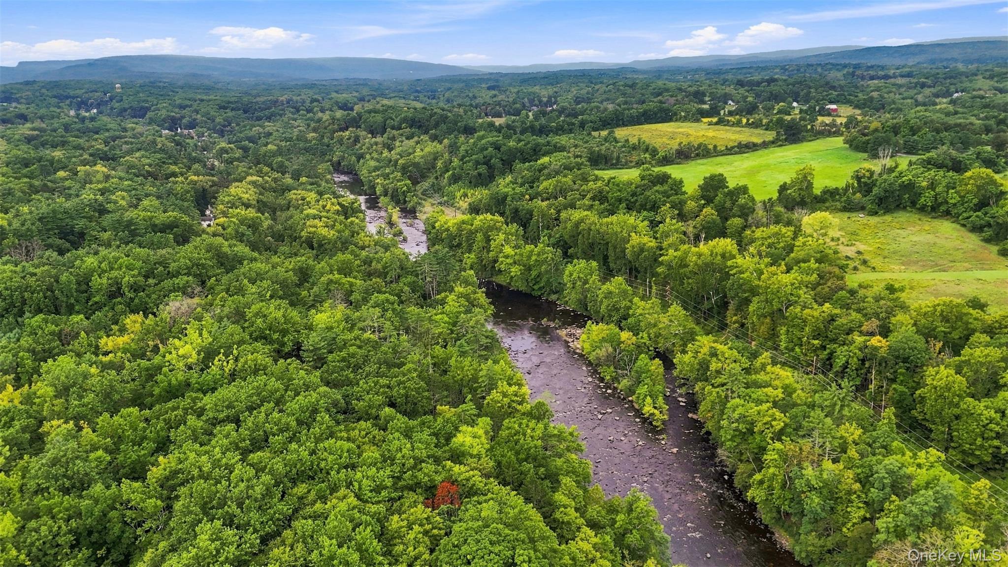 Bruceville Road High Falls, NY 12440 - Photo 4 of 24 Gallery Image 4