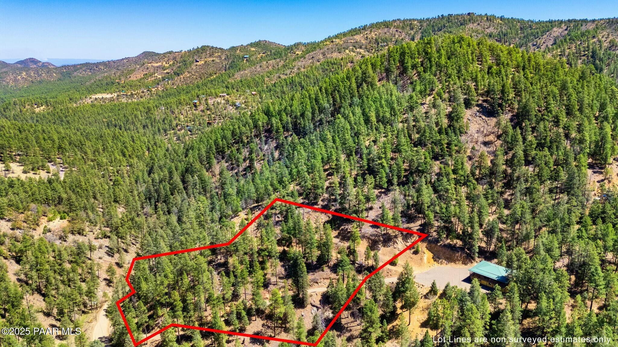 3725 East Walker Road Prescott, AZ 86303 - Photo 11 of 20 a view of a garden with a tree