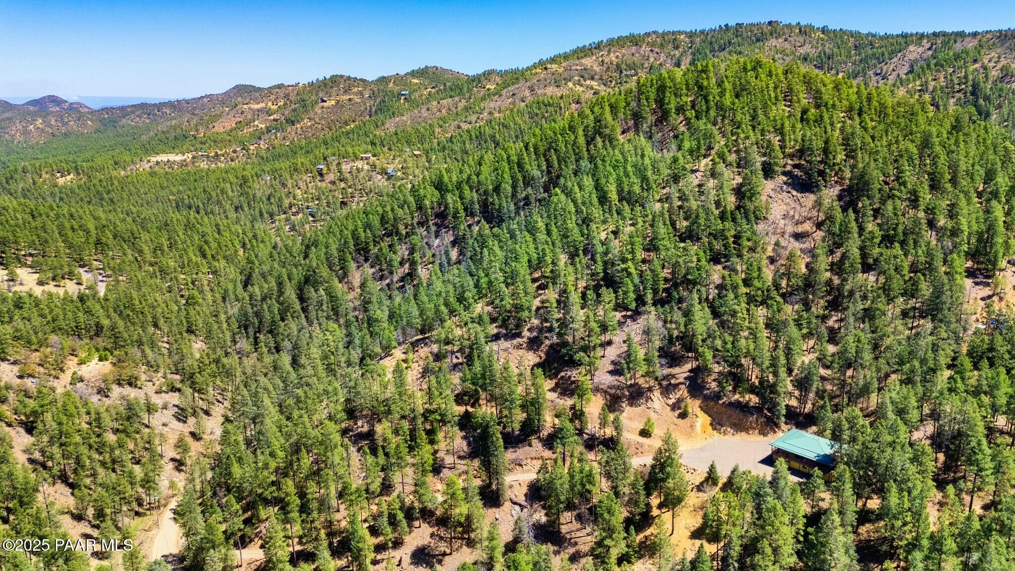 3725 East Walker Road Prescott, AZ 86303 - Photo 12 of 20 a view of a lush green forest with a mountain