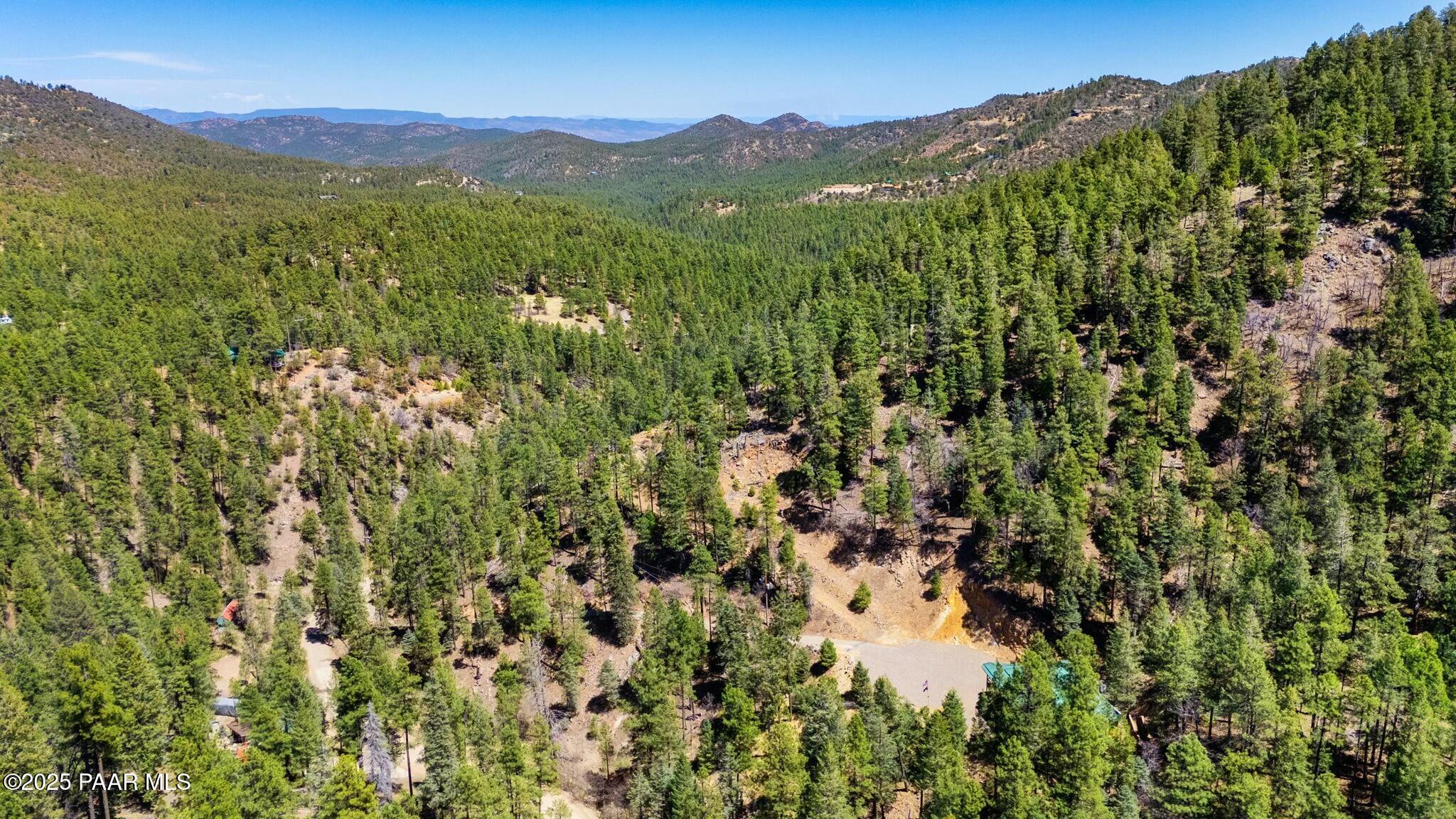 3725 East Walker Road Prescott, AZ 86303 - Photo 16 of 20 a view of a lush green forest with mountains in the background