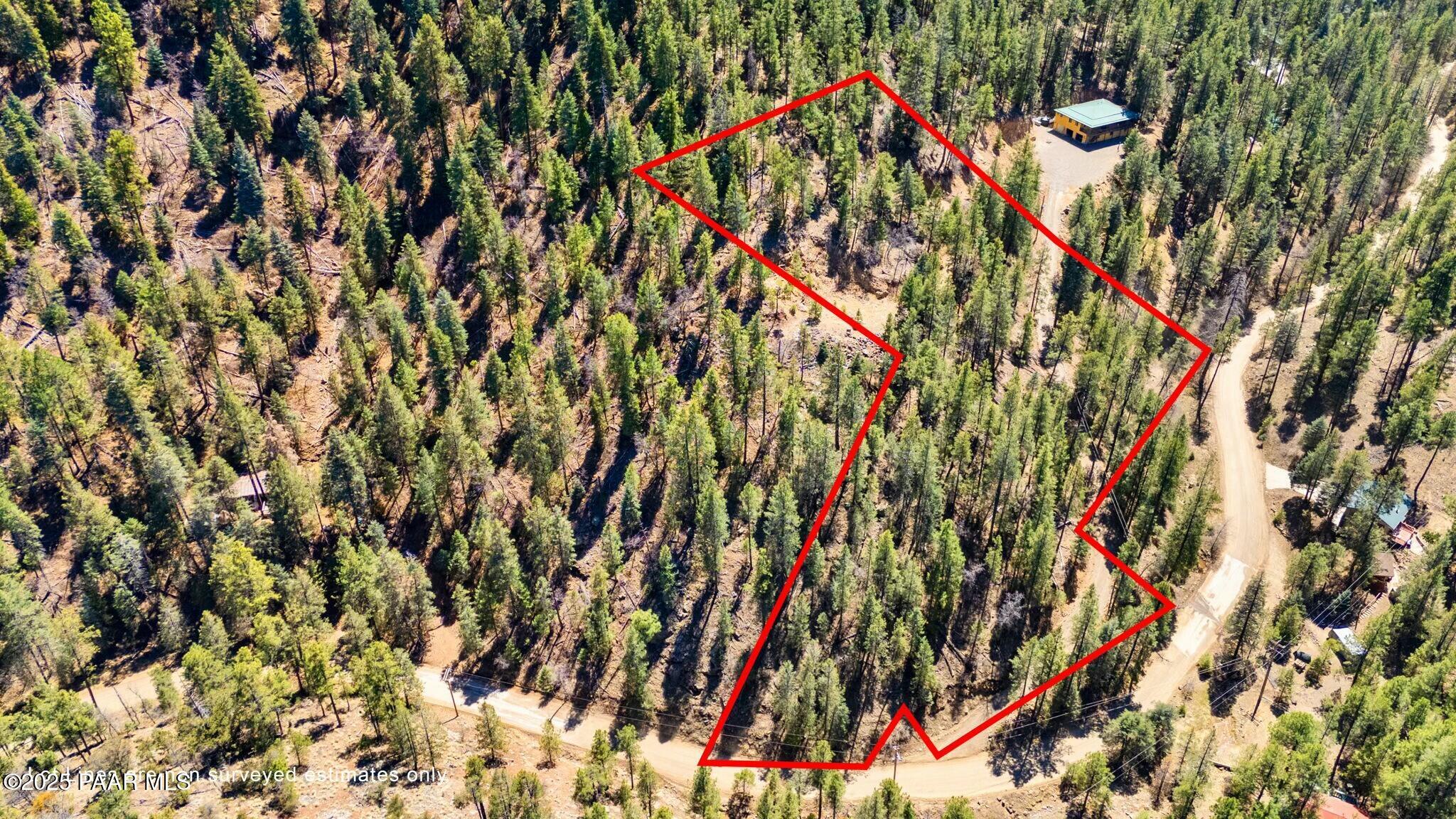 3725 East Walker Road Prescott, AZ 86303 - Photo 17 of 20 a picture of a tree