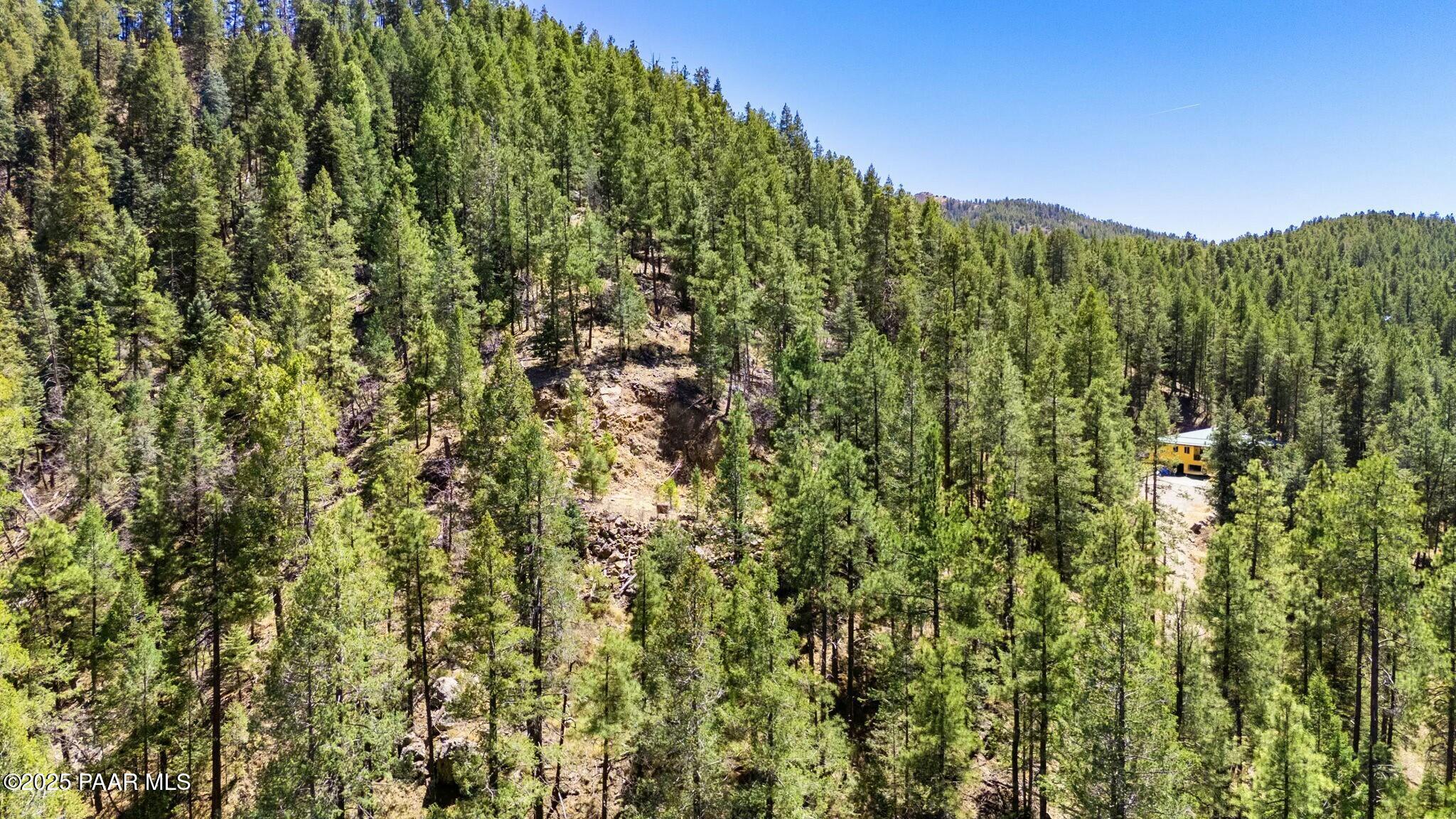 3725 East Walker Road Prescott, AZ 86303 - Photo 20 of 20 a view of a city with lush green forest