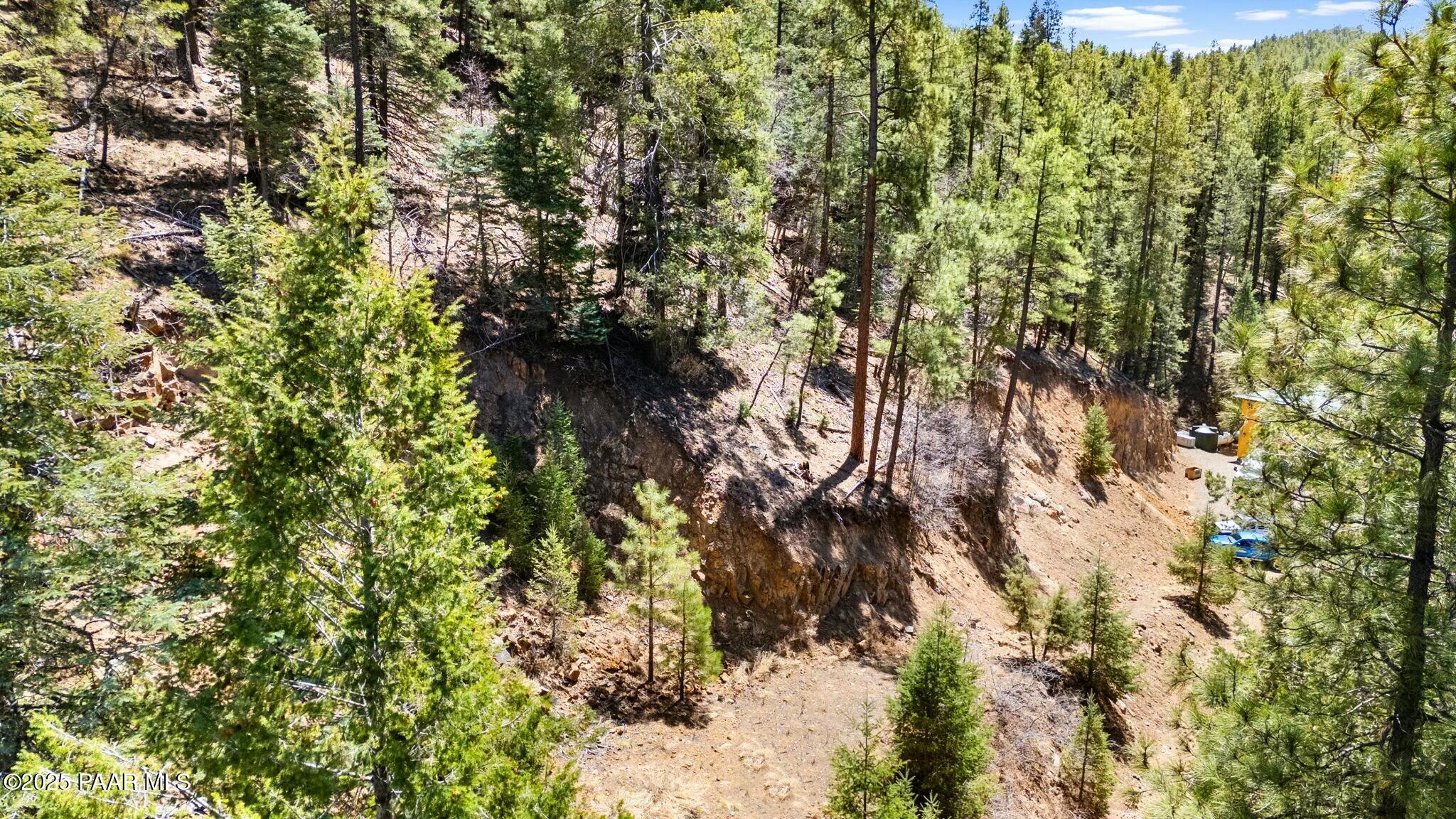 3725 East Walker Road Prescott, AZ 86303 - Photo 2 of 20 a view of a tree