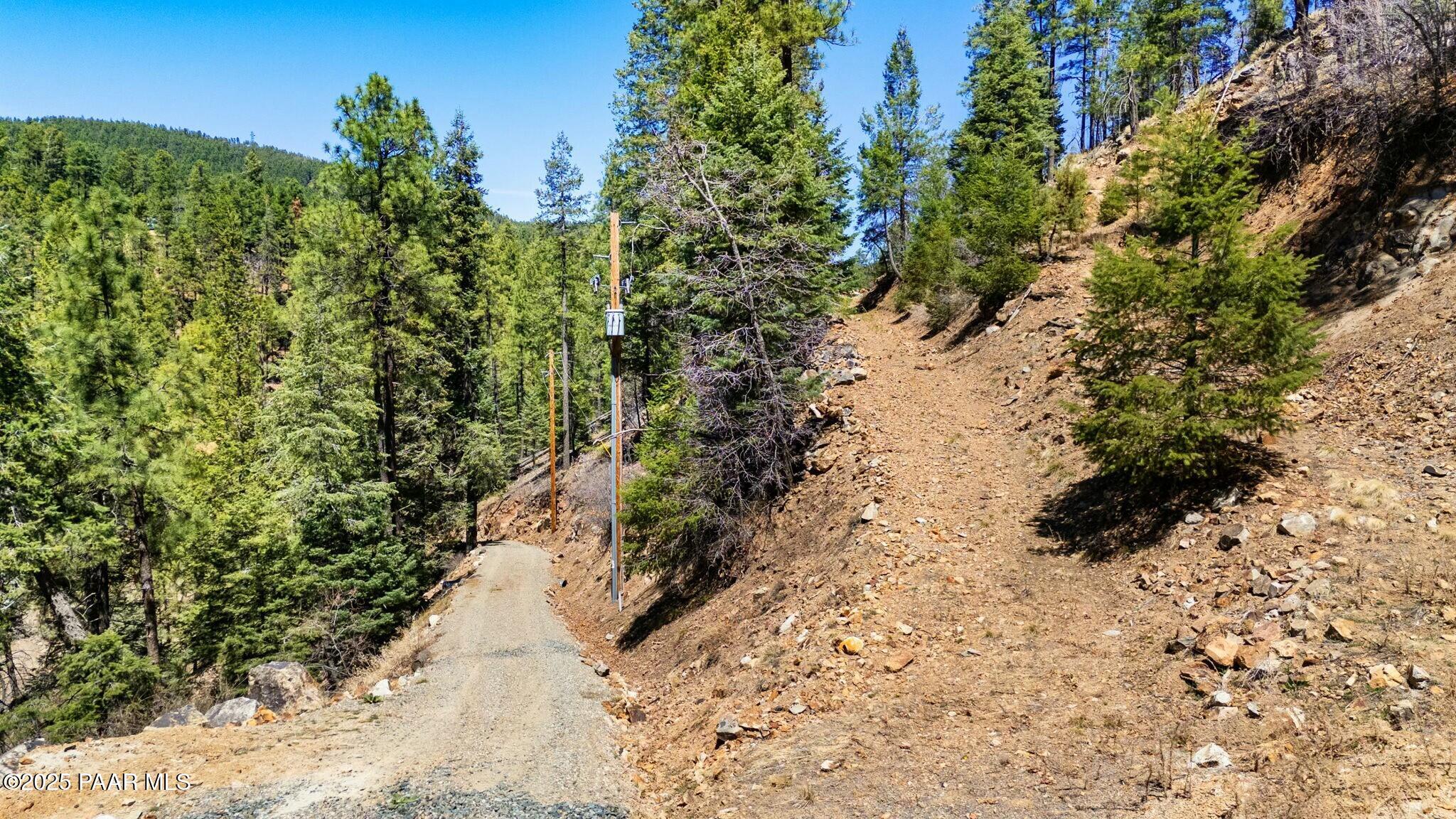 3725 East Walker Road Prescott, AZ 86303 - Photo 3 of 20 a view of a yard with plants and a tree